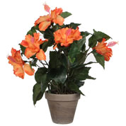 Planta Artificial - Hibiscus Laranja - MICA